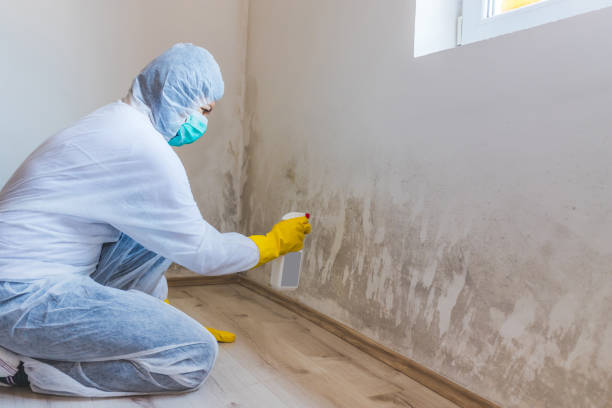 Licensed Mold Testing service in Flourtown, PA - WQB Mold Removal